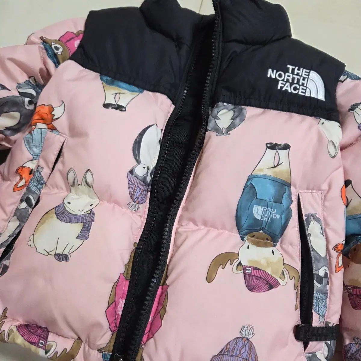 THE NORTH FACE ザノースフェイス キッズ レトロ Nuptse ヌプシ 100