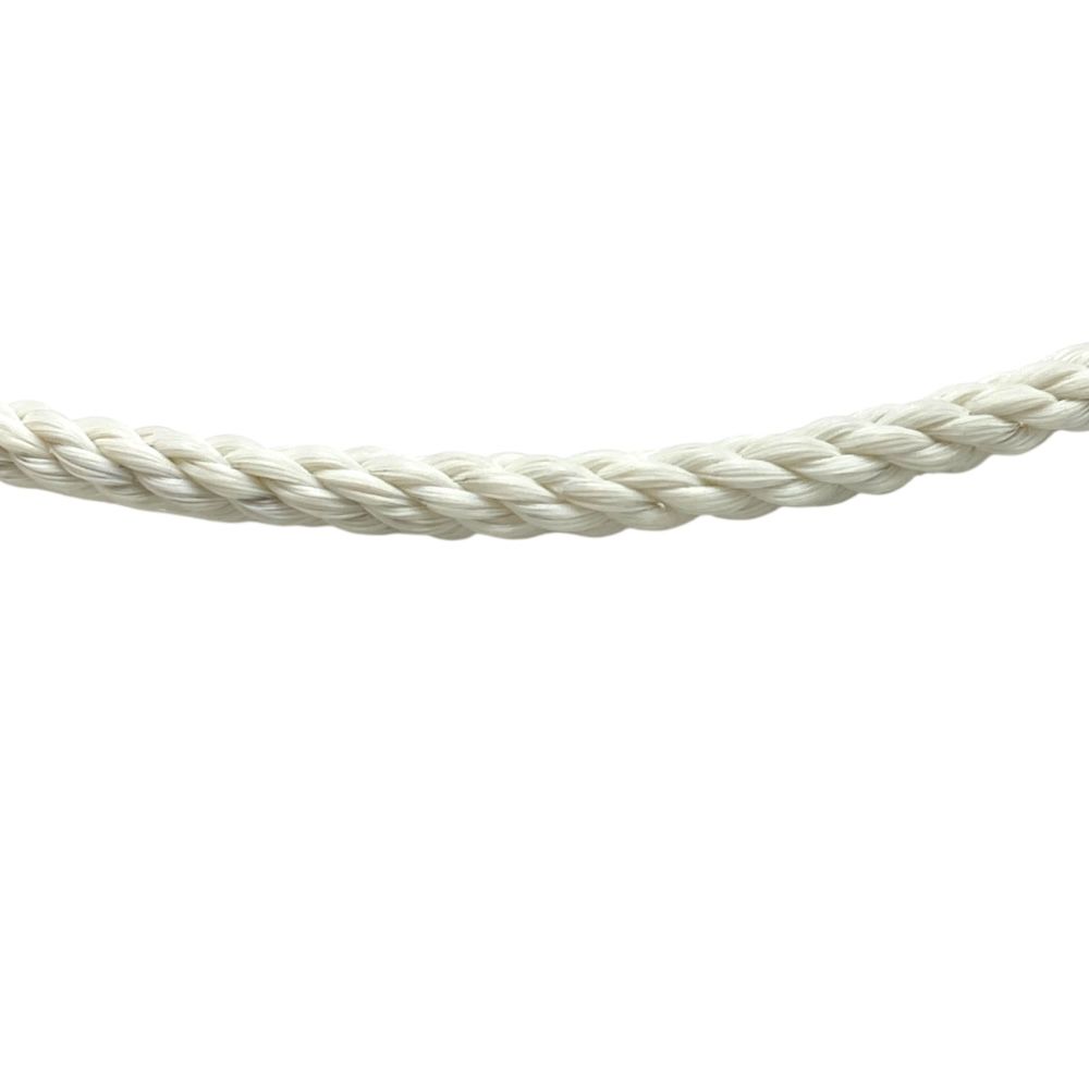 フレッド フォース10 LM ラージモデル 交換用 ケーブル 替えベルト 2連