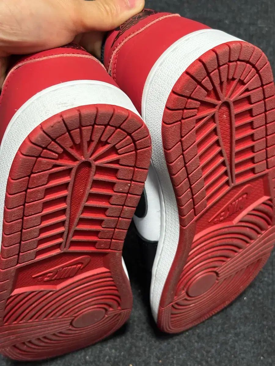 ナイキコリアタブ 260