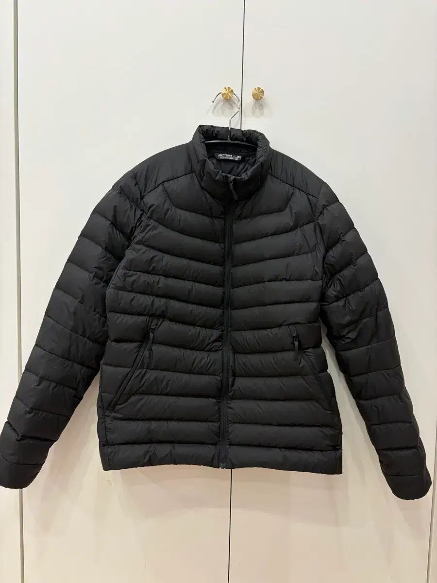 ARC TERYX Cerium アークテリクス セリウム フードなし Mサイズ ロゴ 팔バージョン
