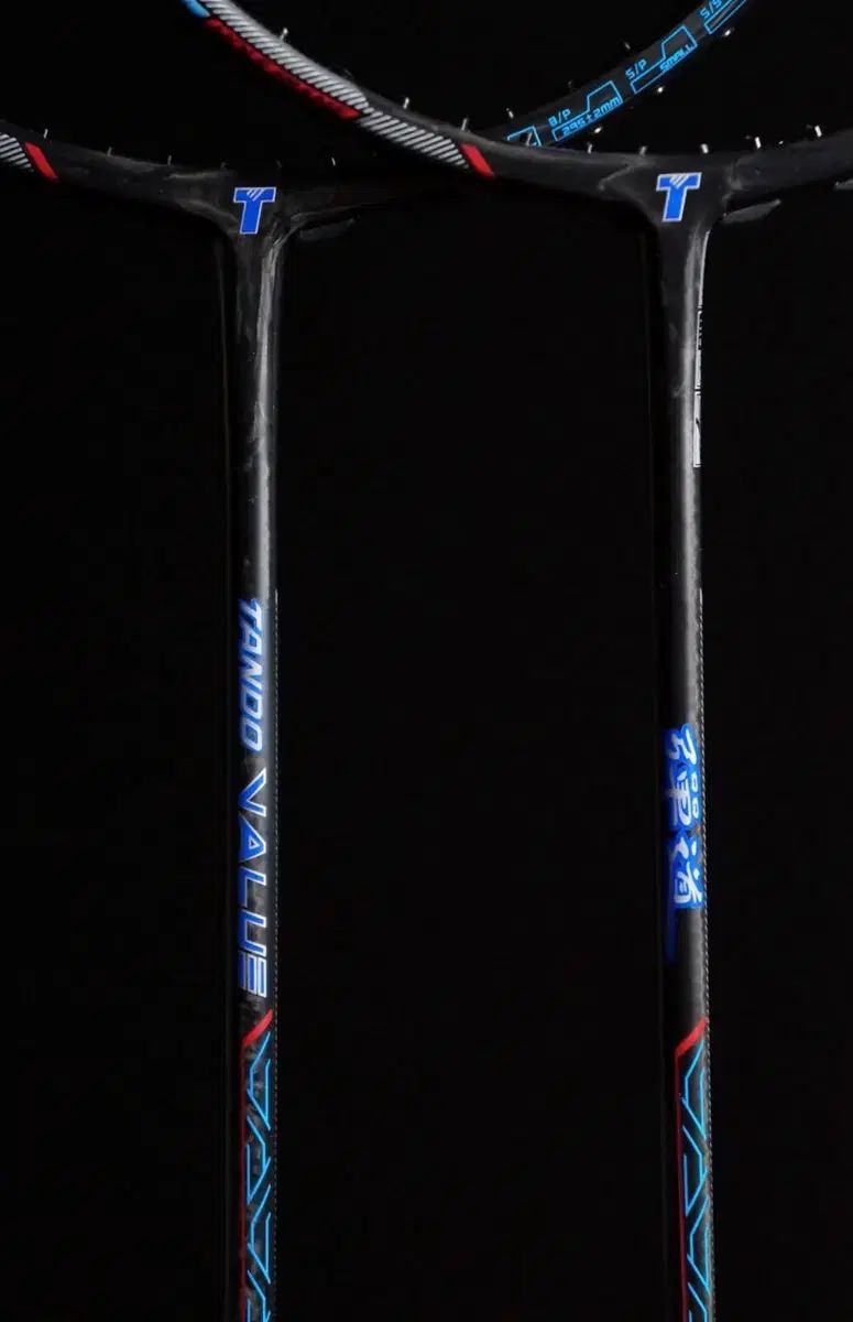 名剣 トライオン タン度バリューバドミントンラケット