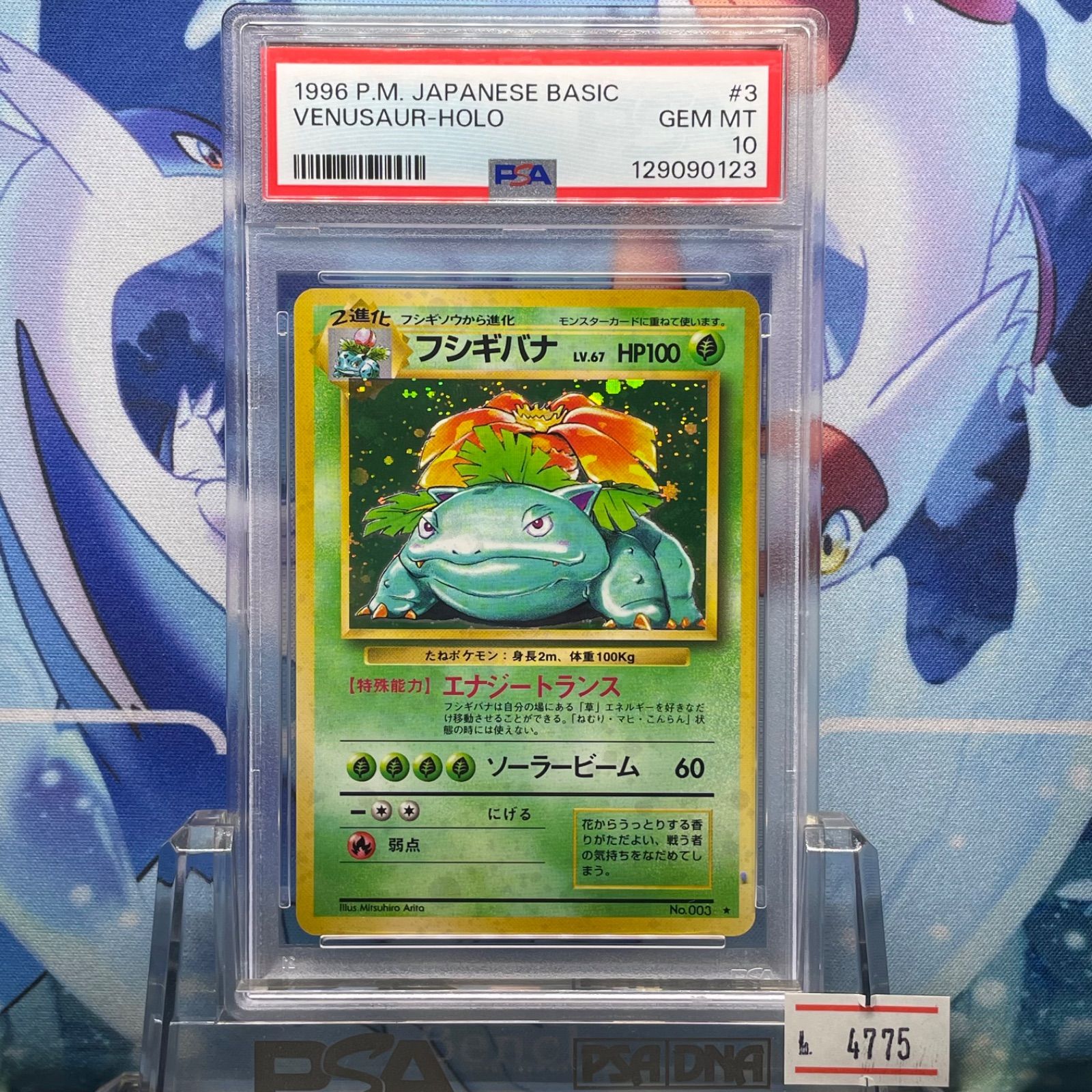 フシギバナ Lv67 PSA10 PSA10 フシギバナ 再販 R 旧裏 PMCG LV.67 拡張パック第1弾 再販 003