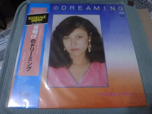 日本 LP Debbies Ally ー City Pop シティポップ