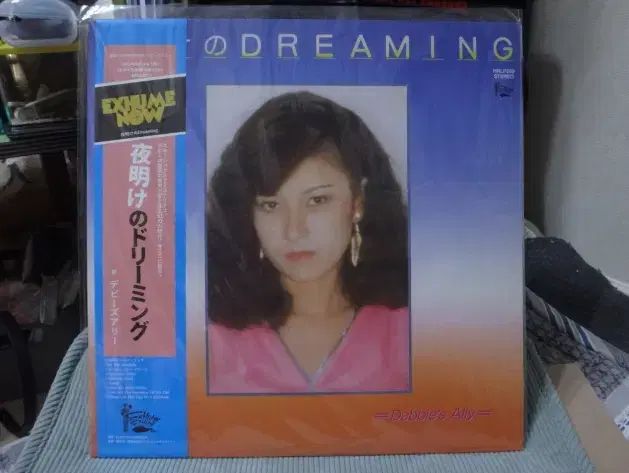 日本 LP Debbies Ally ー City Pop シティポップ