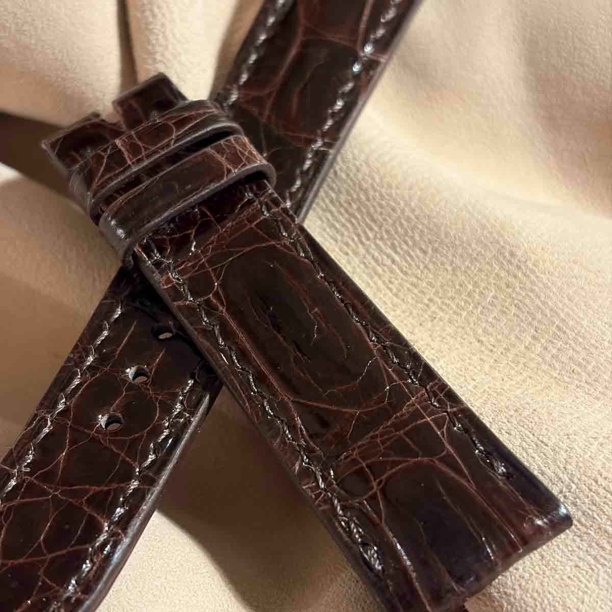 cro-1980 クロコダイル