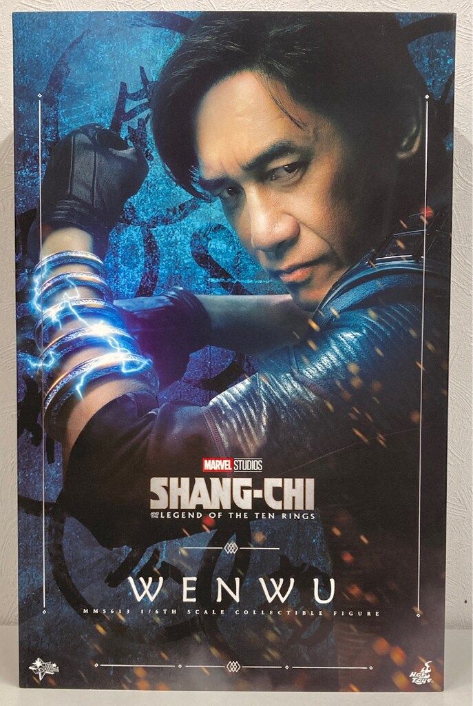 HOTTOYS MOVIE WENWU MMS 613