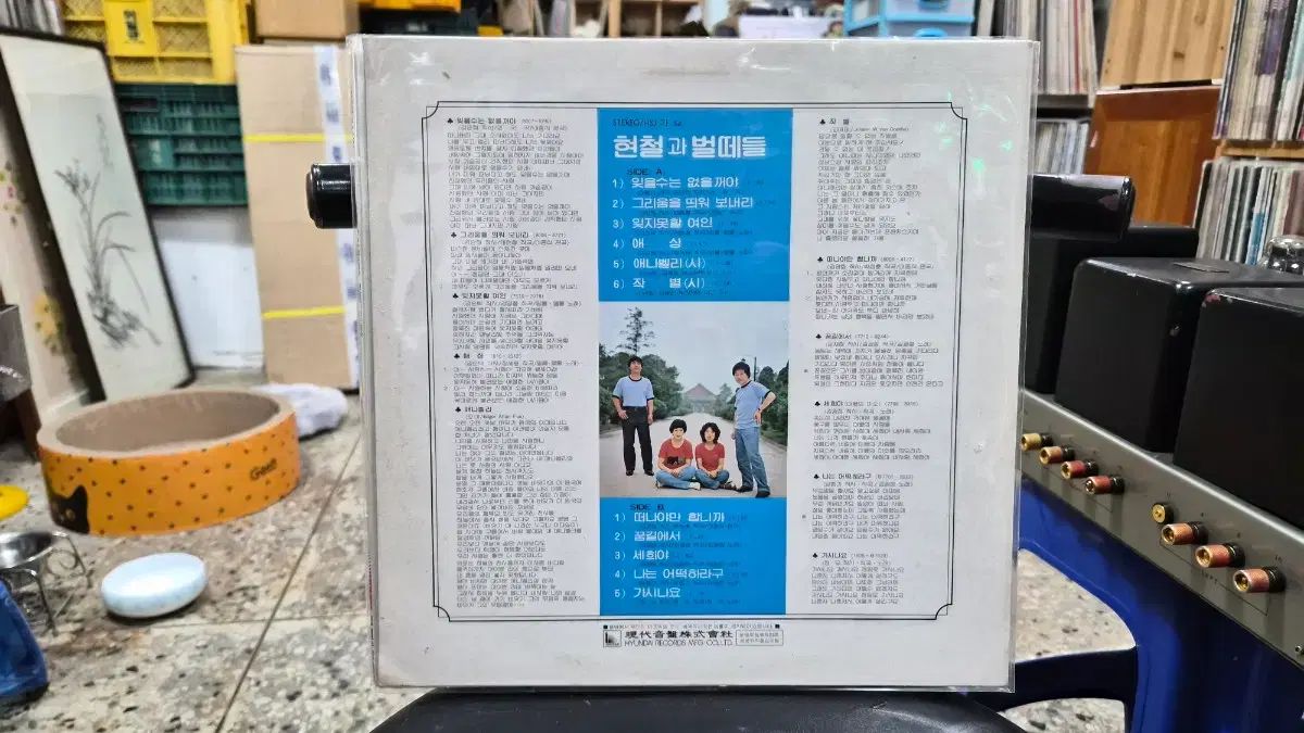 ヒョンテルと ミツバチの群れ LP CD 記録