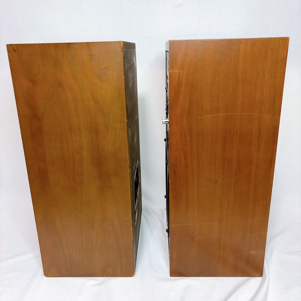 カバー付き！DIATONE DS-251 mk2 ペア ビンテージ ダイヤトーン 2