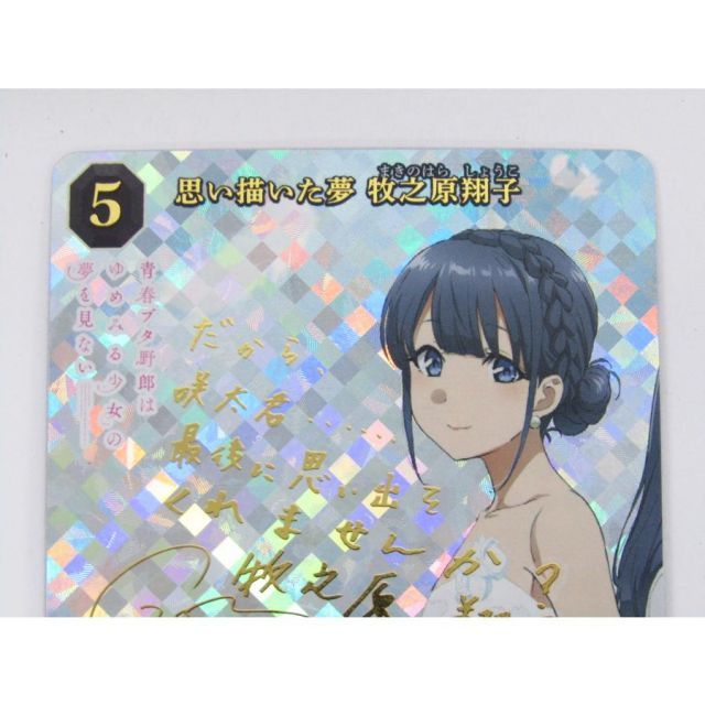 BUILD-DIVIDE-BRIGHT- ビルディバイド -ブライト- 思い描いた夢 牧之原