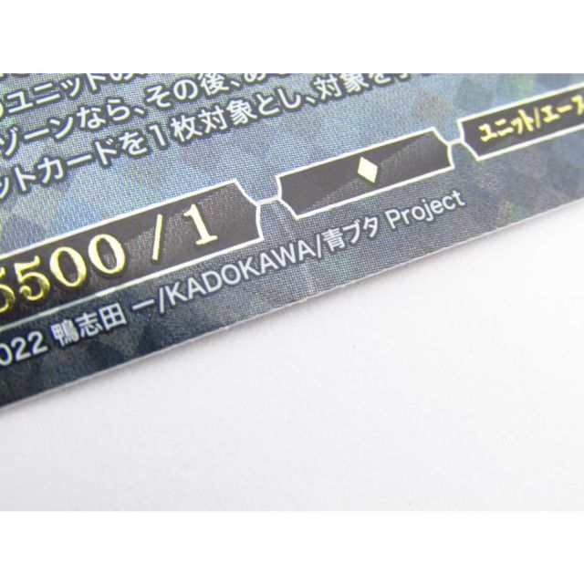 BUILD-DIVIDE-BRIGHT- ビルディバイド -ブライト- 思い描いた夢 牧之原