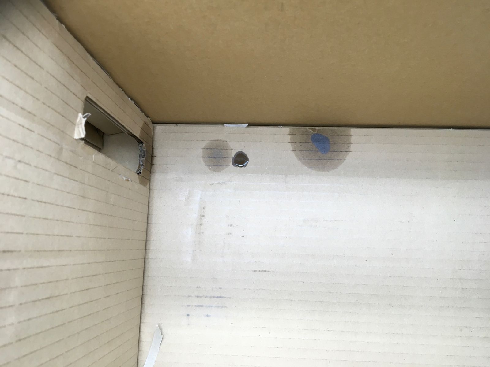 エンジンチェーンソーオールラウンドソー