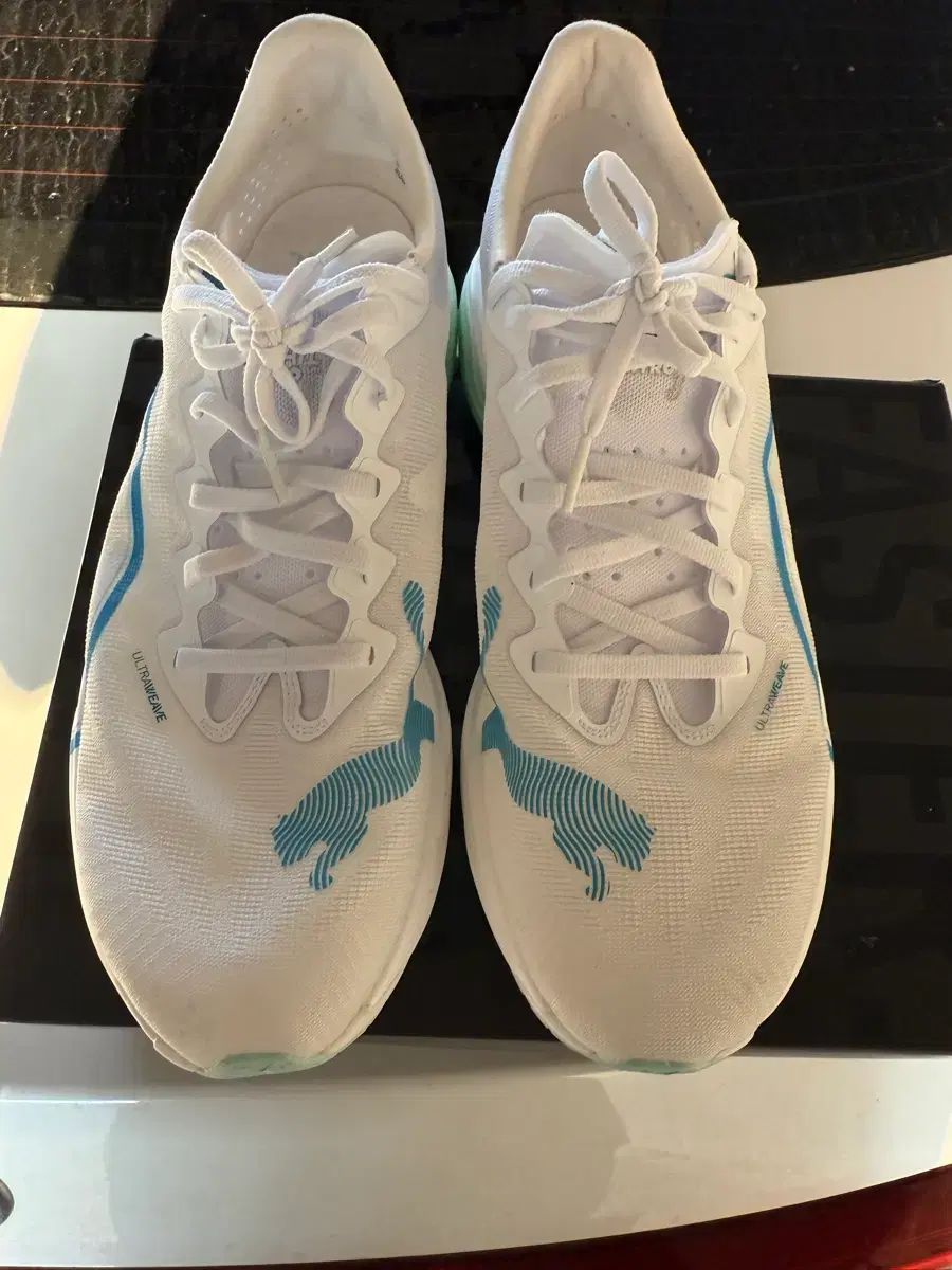 280 プーマ ディヴィエイト ナイトロ エリート3 ディナエル3