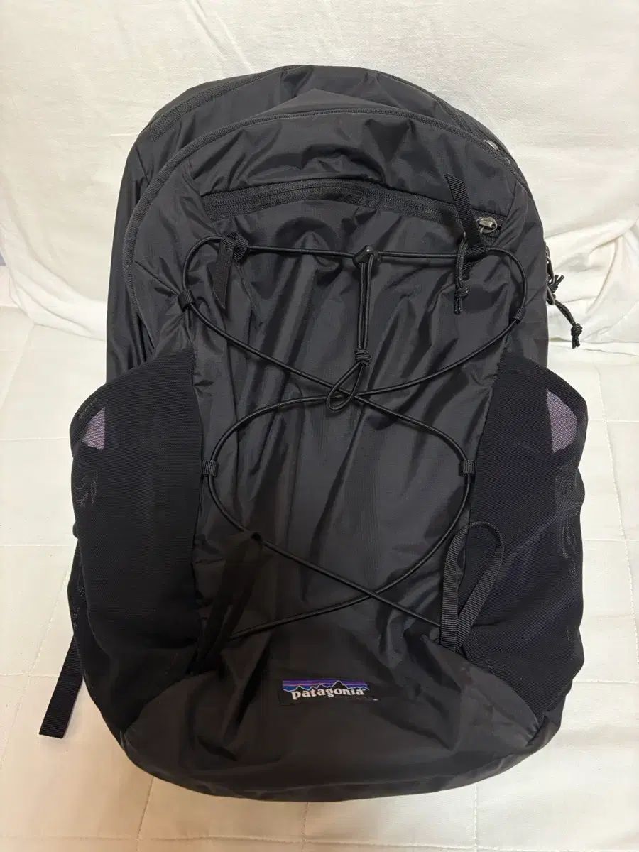 パタゴニア テラビア バックパック 22 L