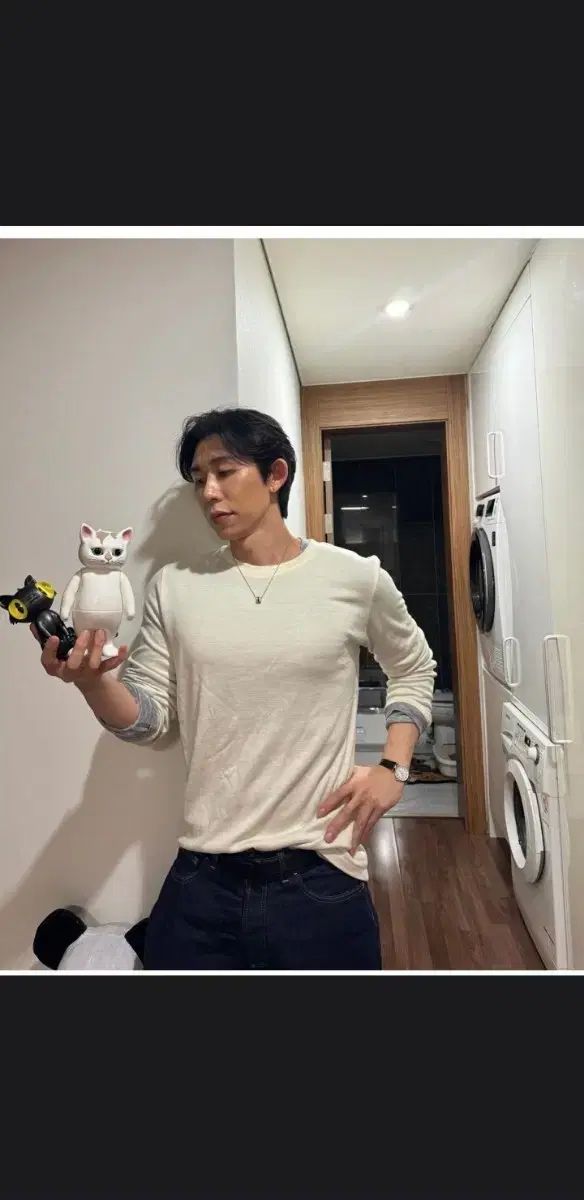 レクト ノヴァ レイヤード Lサイズ