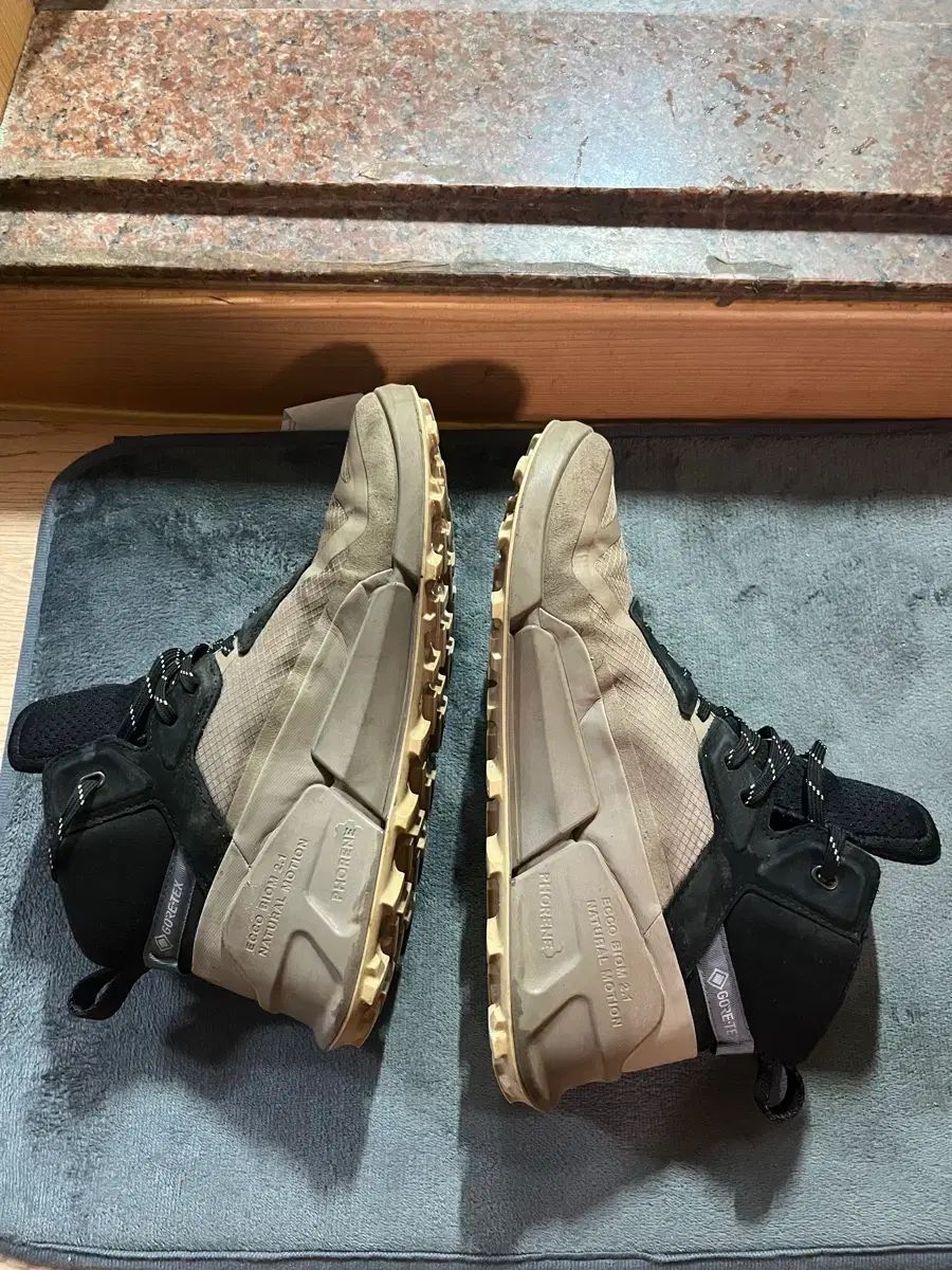 Ecco バイオム 2 1 X マウンテン GORE-TEX ゴアテックス 登山靴 260 265 アウトドアバッグセット アウトドア必需品