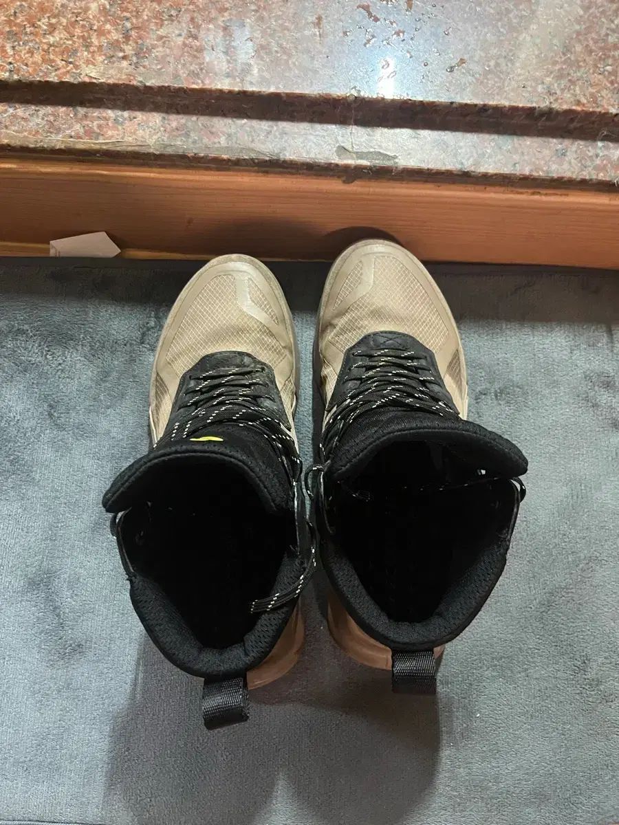 Ecco バイオム 2 1 X マウンテン GORE-TEX ゴアテックス 登山靴 260 265