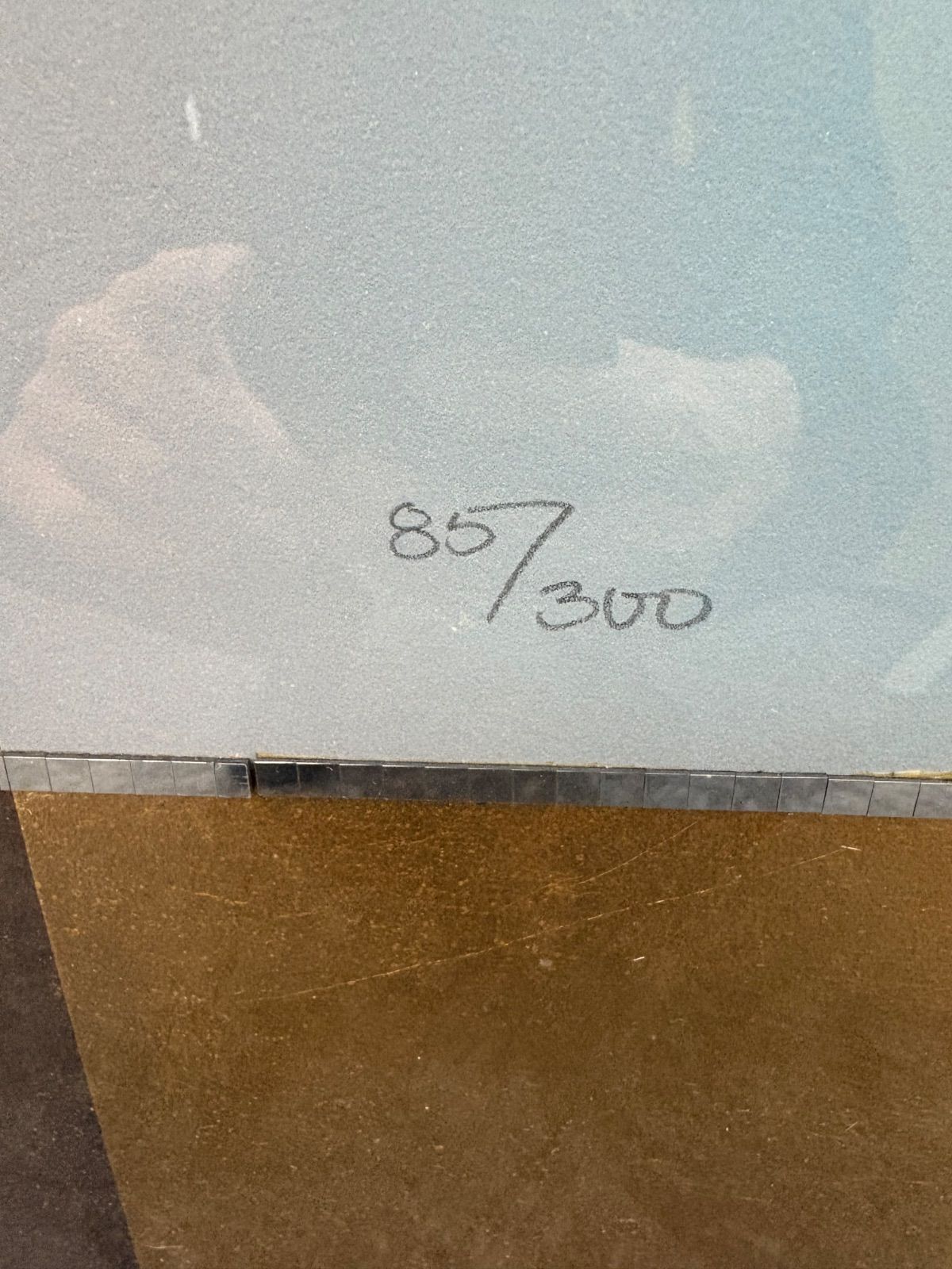 ヴィクトリア ヴィッキー モンテシノス 作品