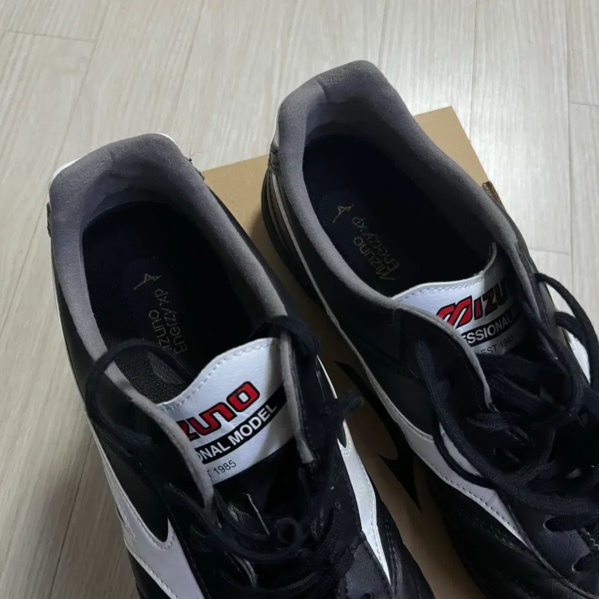  ミズノ モレリア サラ エリート 250 フットサルシューズ シューズ