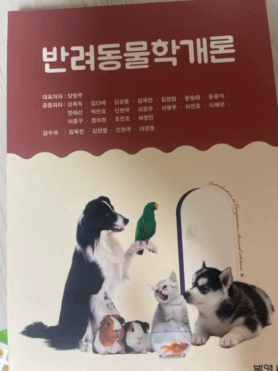ENHYPEN ソンフン Weverse ラキドロ トレカ 【公式通販】