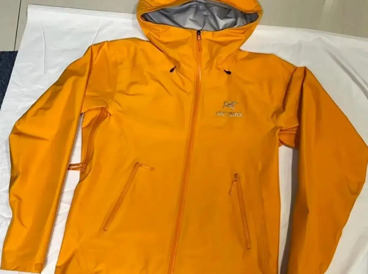 アークテリクス ベータ LT イグナイト S