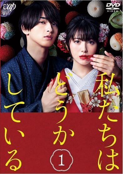 私たちはどうかしている 4巻セット レンタル落ち DVD