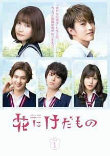 花にけだもの 5巻セット シーズン1 2 レンタル落ち DVD