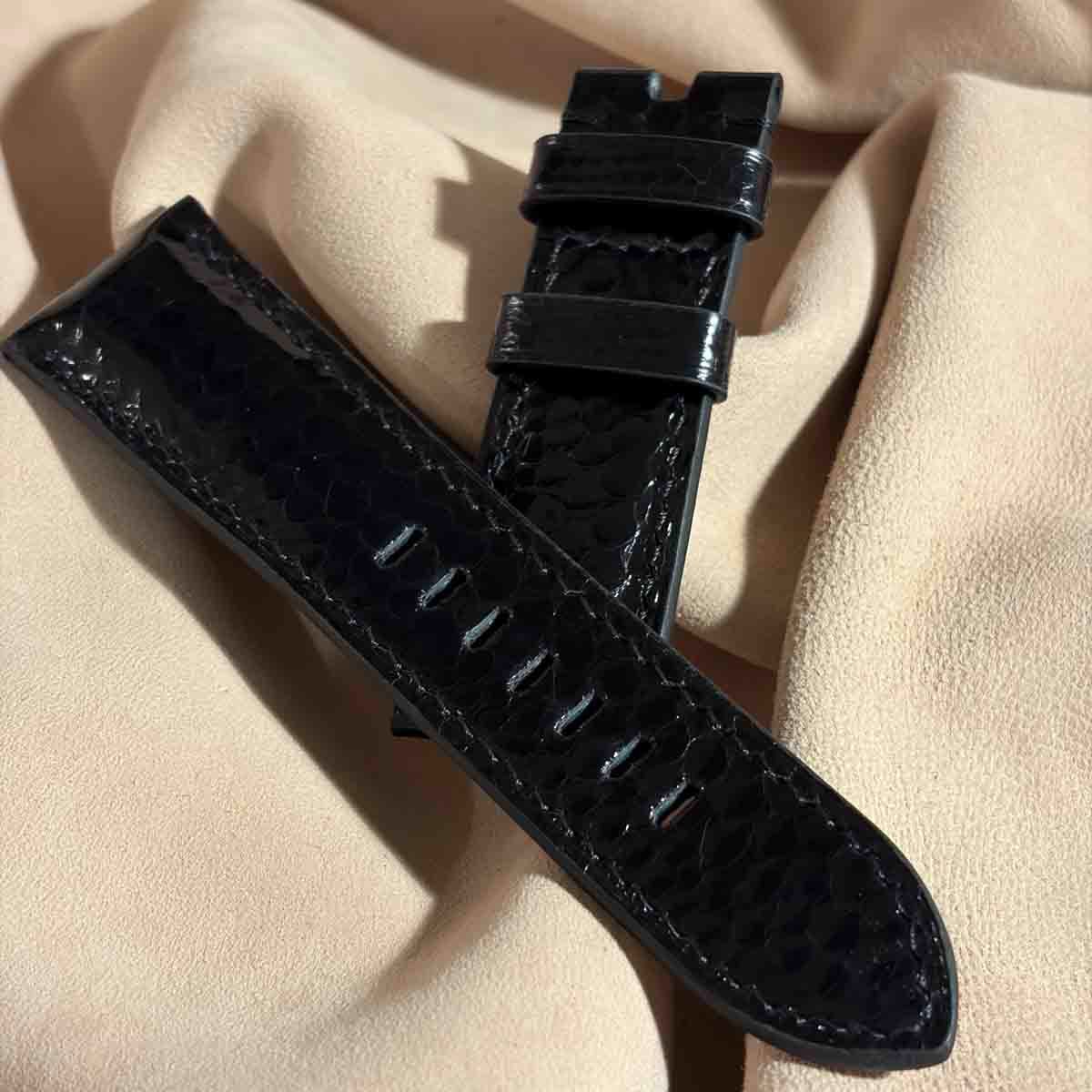 シースネイク ウミヘビ