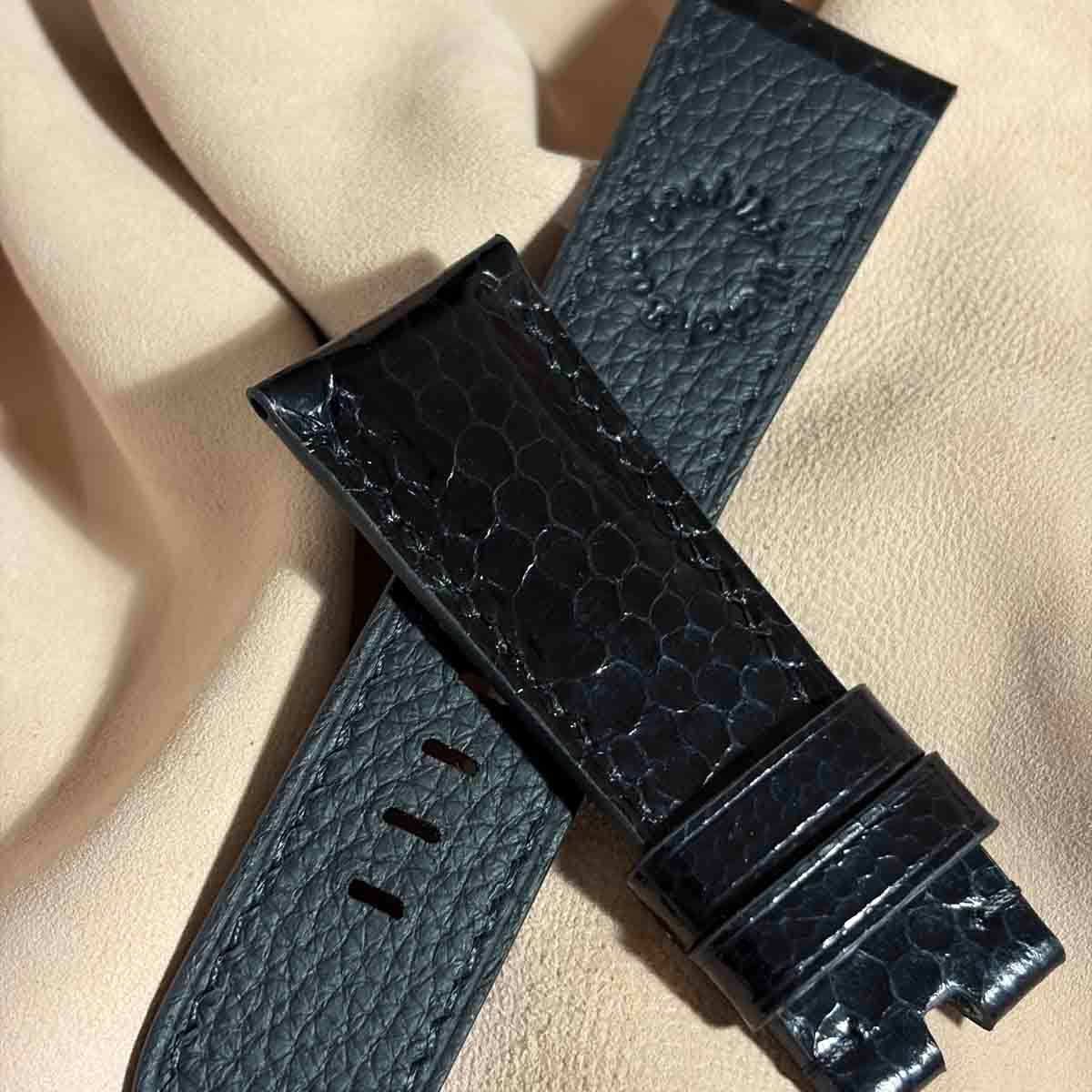 シースネイク ウミヘビ