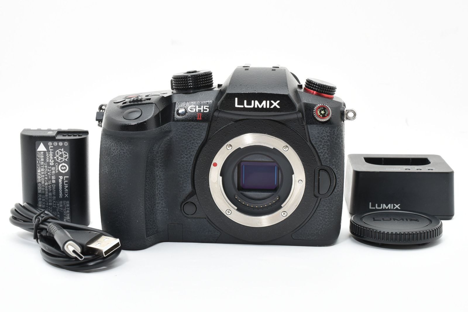 実用品 Panasonic パナソニック LUMIX DC-GH 5 M 2 ボディ GH II