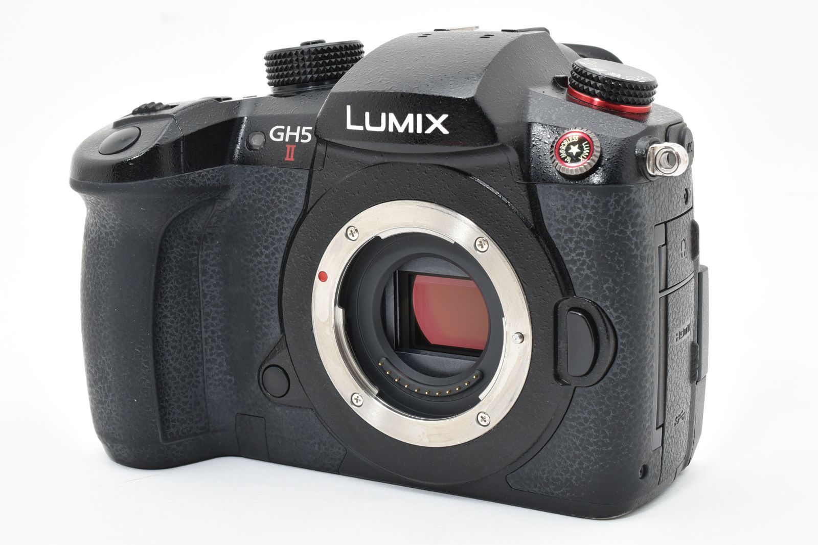 実用品 Panasonic パナソニック LUMIX DC GH 5 M 2 ボディ II