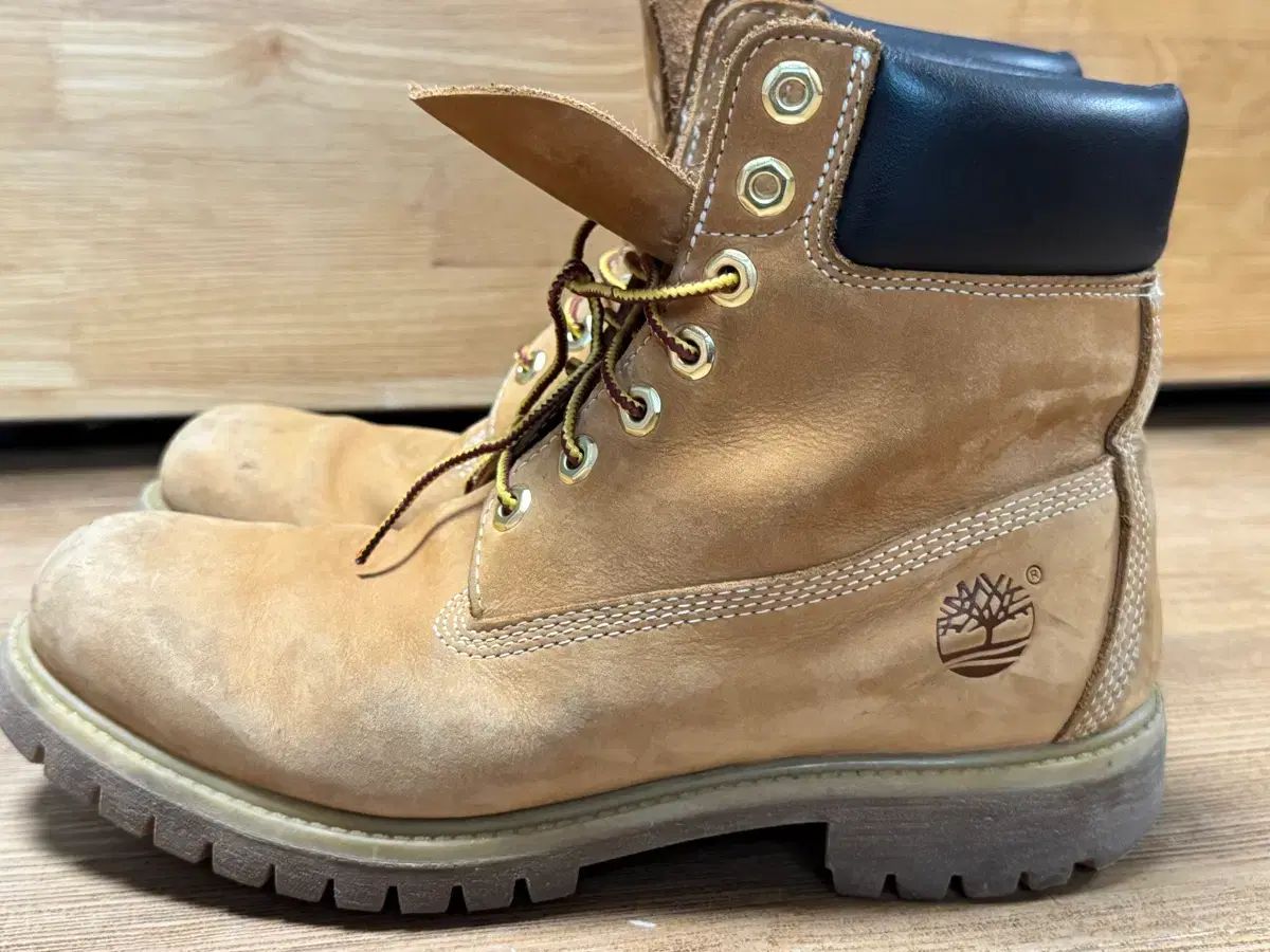 ティンバーランド 6インチ ウォータープルーフ 260