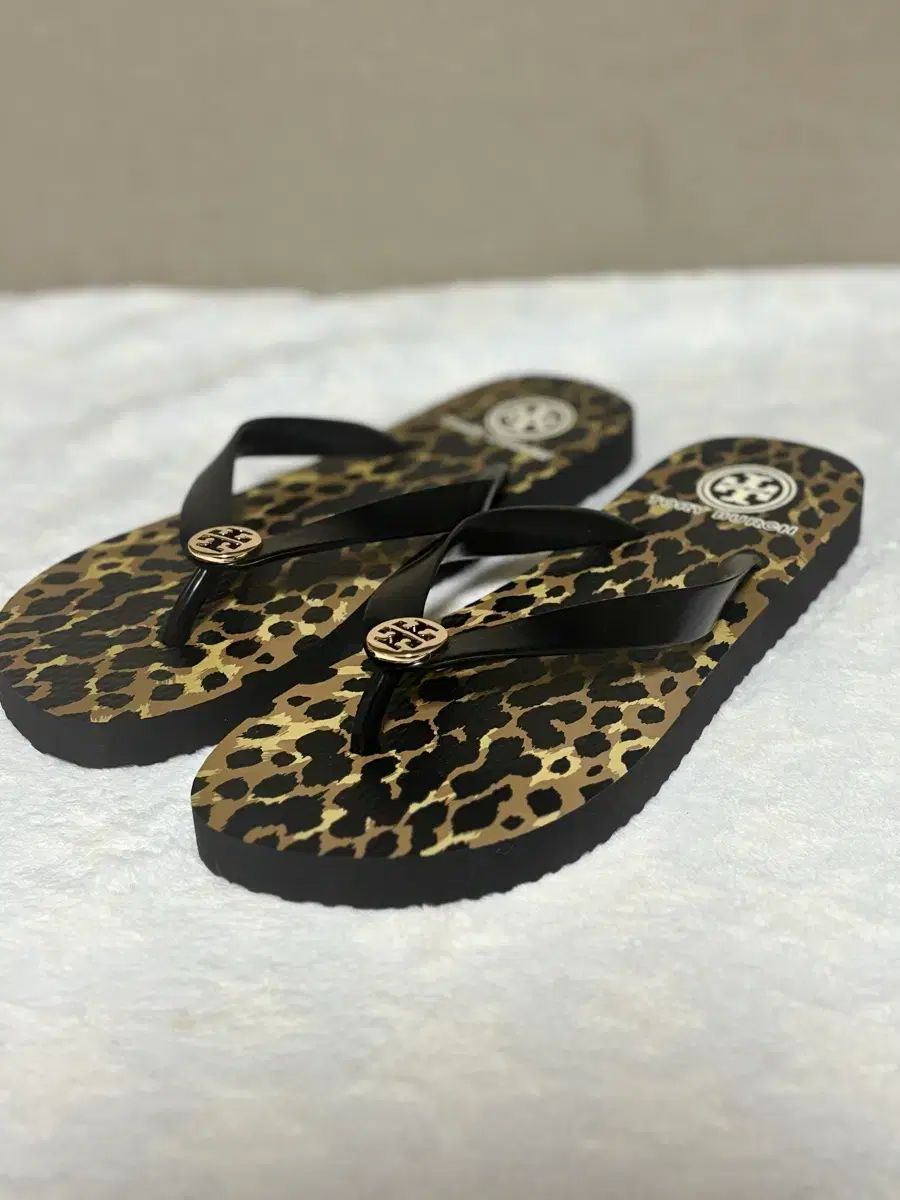 トリーバーチ 姫宮 桃李 定価 8万円