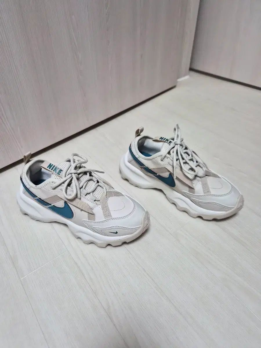 ナイキ レディース