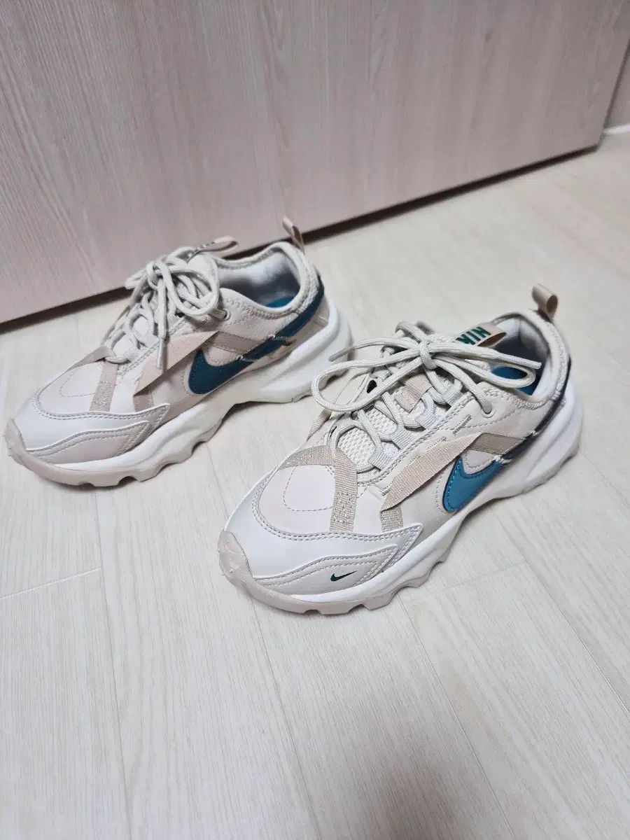 ナイキ レディース トレッキングシューズ