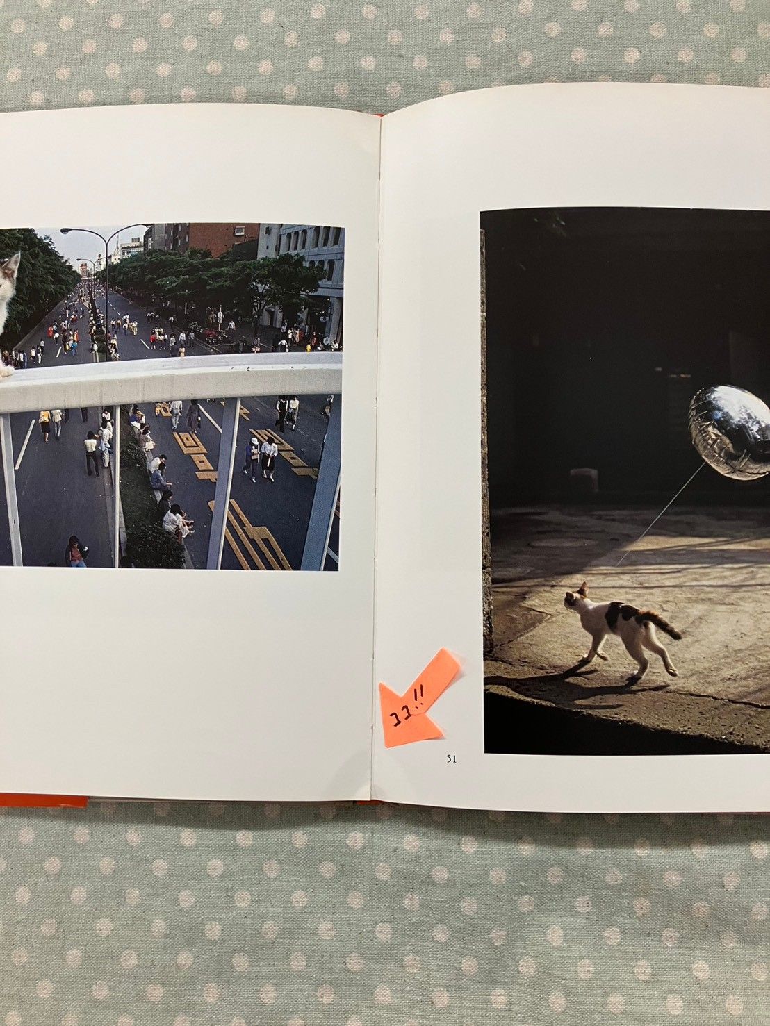 深瀬昌久 猫の麦わら帽子 THE STRAW HAT CAT A073-843 - メルカリ