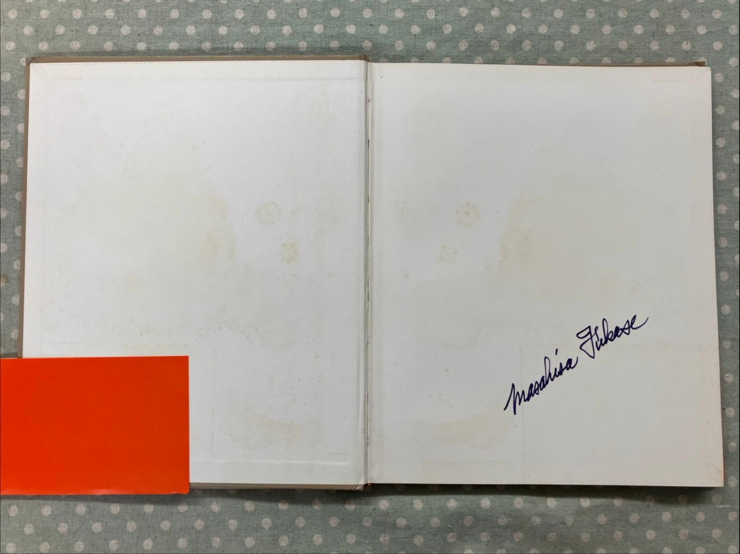 深瀬昌久 猫の麦わら帽子 THE STRAW HAT CAT A073-843 - メルカリ