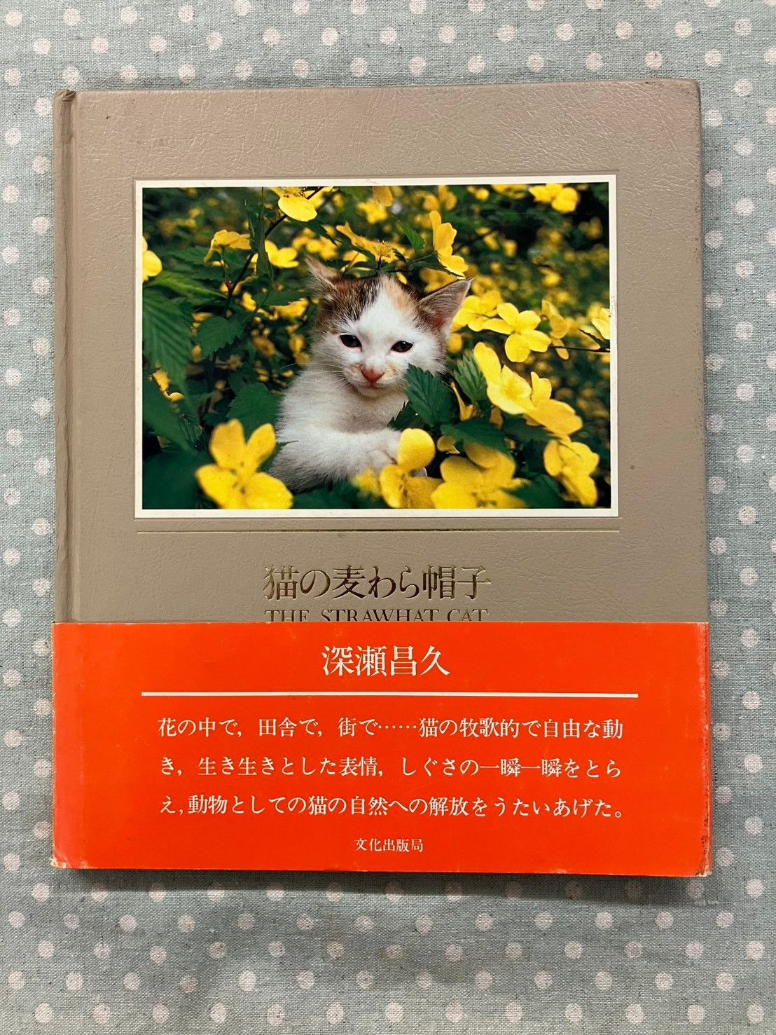 深瀬昌久 猫の麦わら帽子 THE STRAW HAT CAT A073-843 - メルカリ