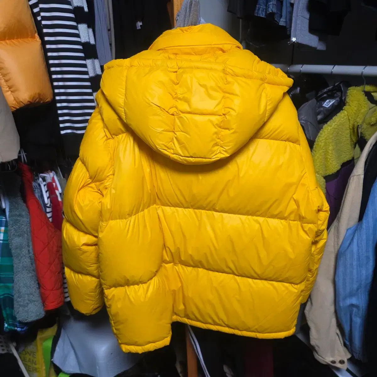 THE BLANK SHOP イエロー ダウン アウター