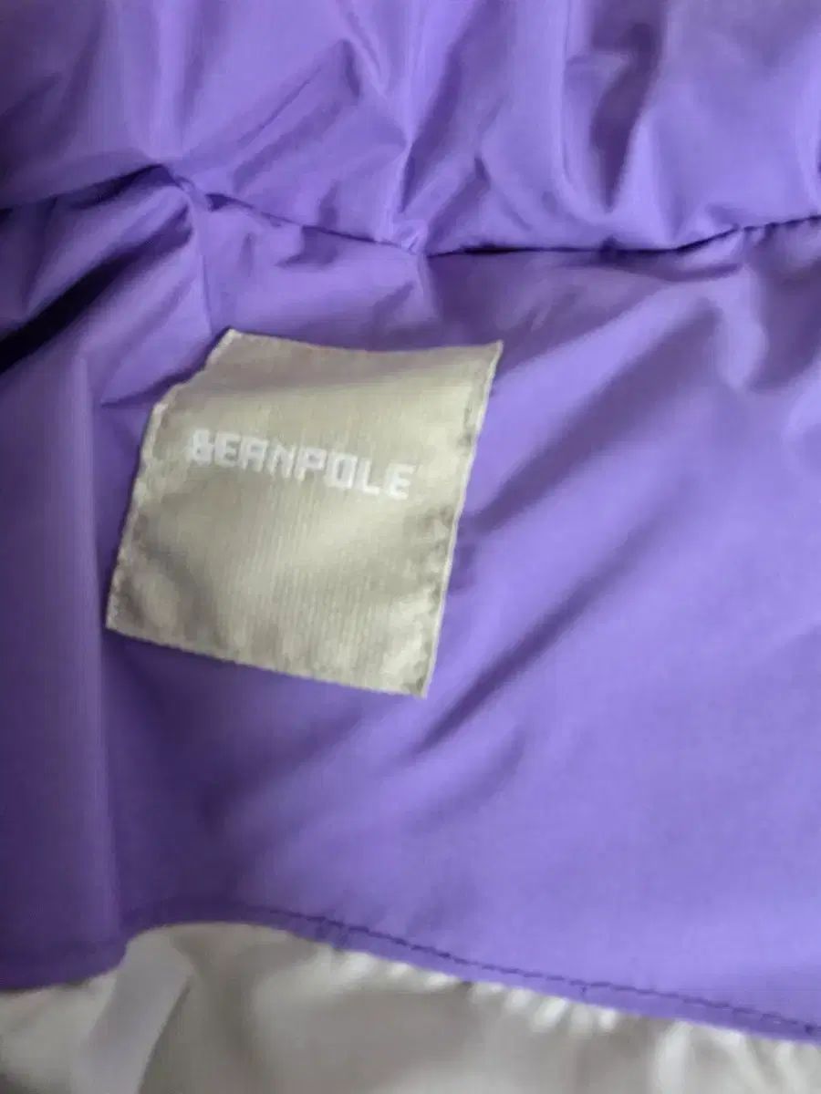 パープル パファー