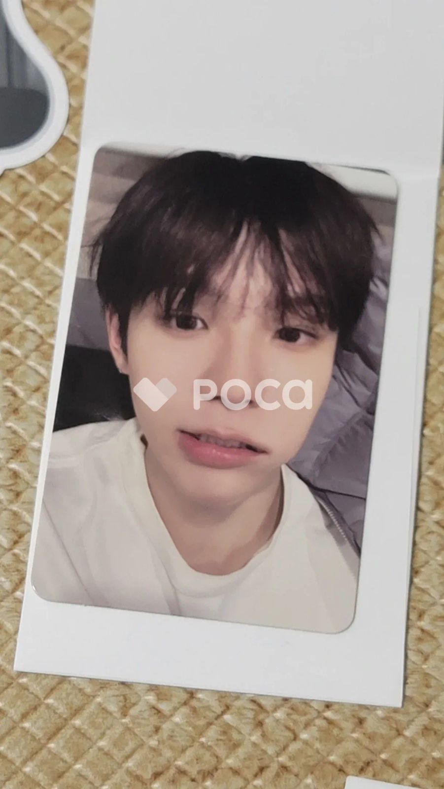 RIIZE ショウタロウ 2026 シーグリ 限定 チェキ トレカ ショウタロウ シーグリ2026 sg ポラロイド チェキ riize ライズ - メルカリ