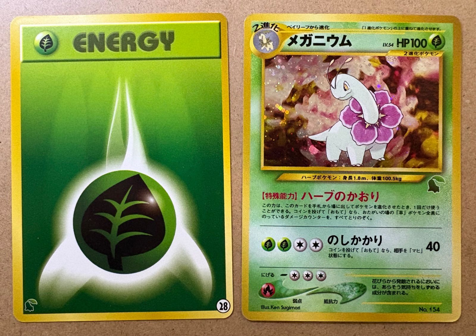 イントロパックneoのメガニウム＆草エネルギー28(チコリータマーク