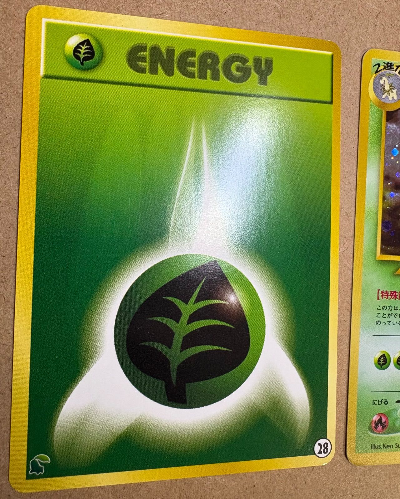 イントロパックneoのメガニウム＆草エネルギー28(チコリータマーク