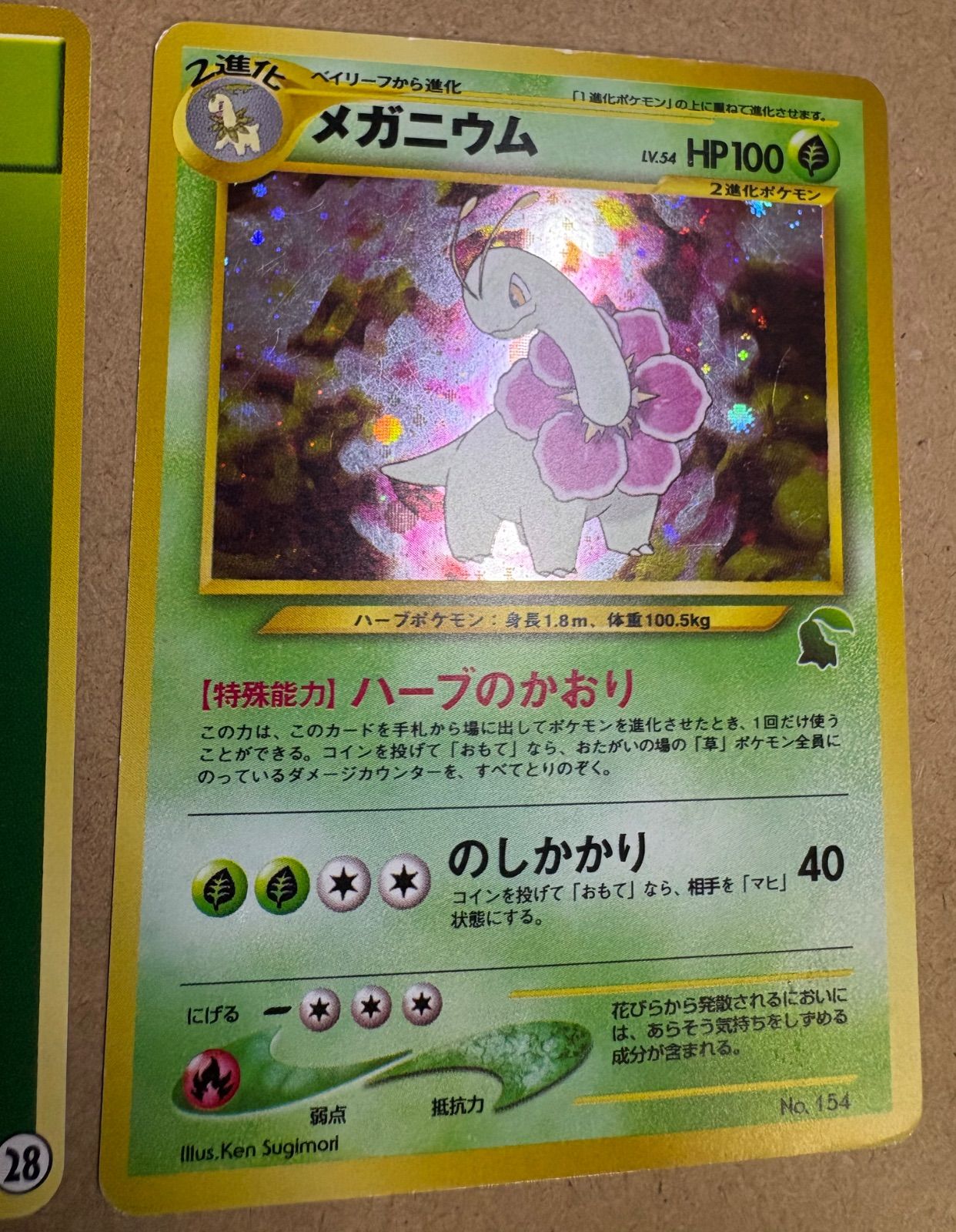 イントロパックneoのメガニウム＆草エネルギー28(チコリータマーク