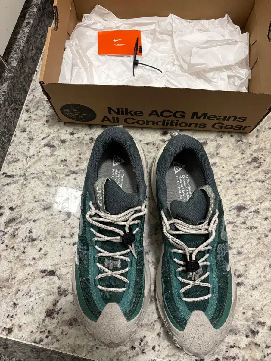 ナイキ ACG マウンテン フライ 2 ロー バイコスタル ヴィンテージ グリーン 280