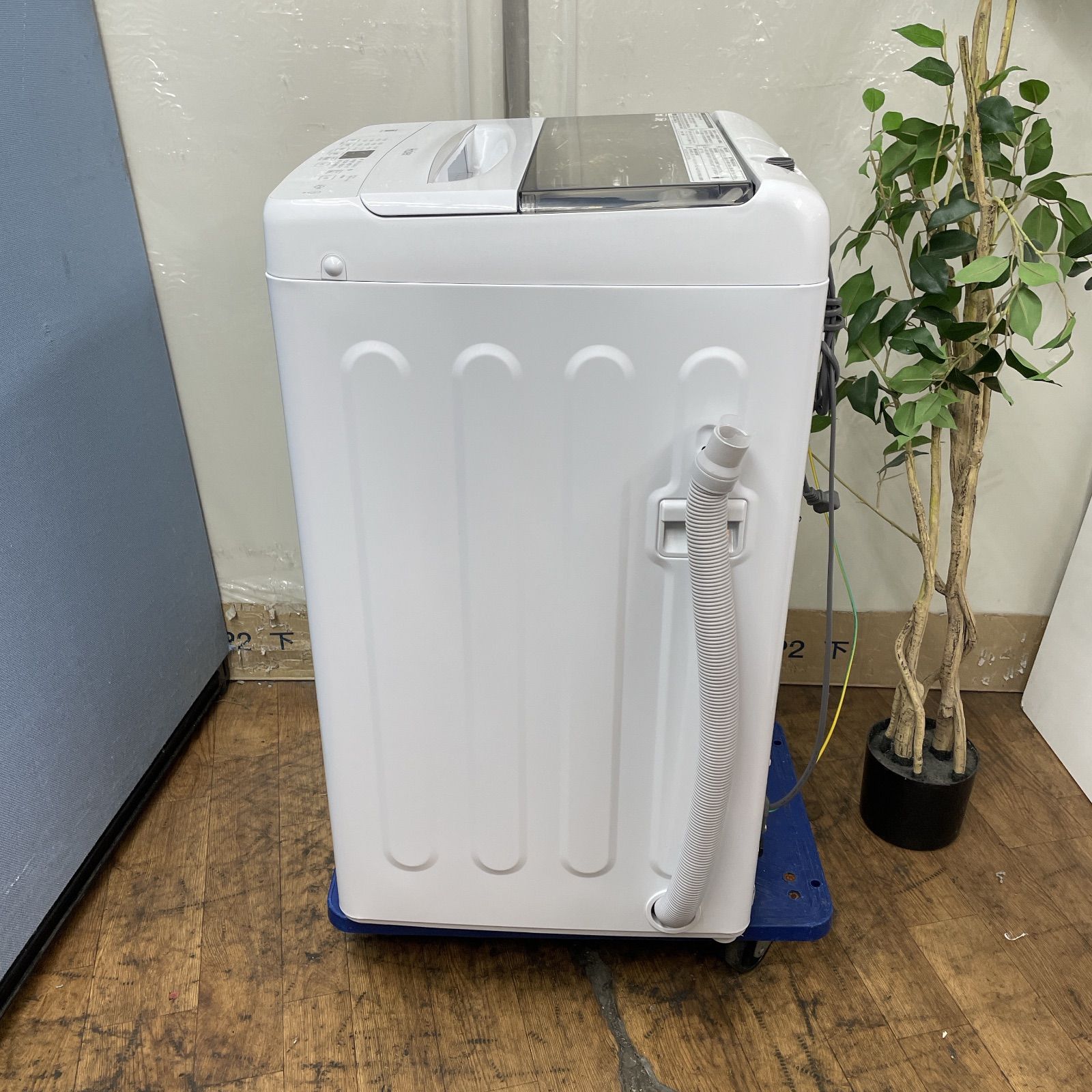 クリーニング済