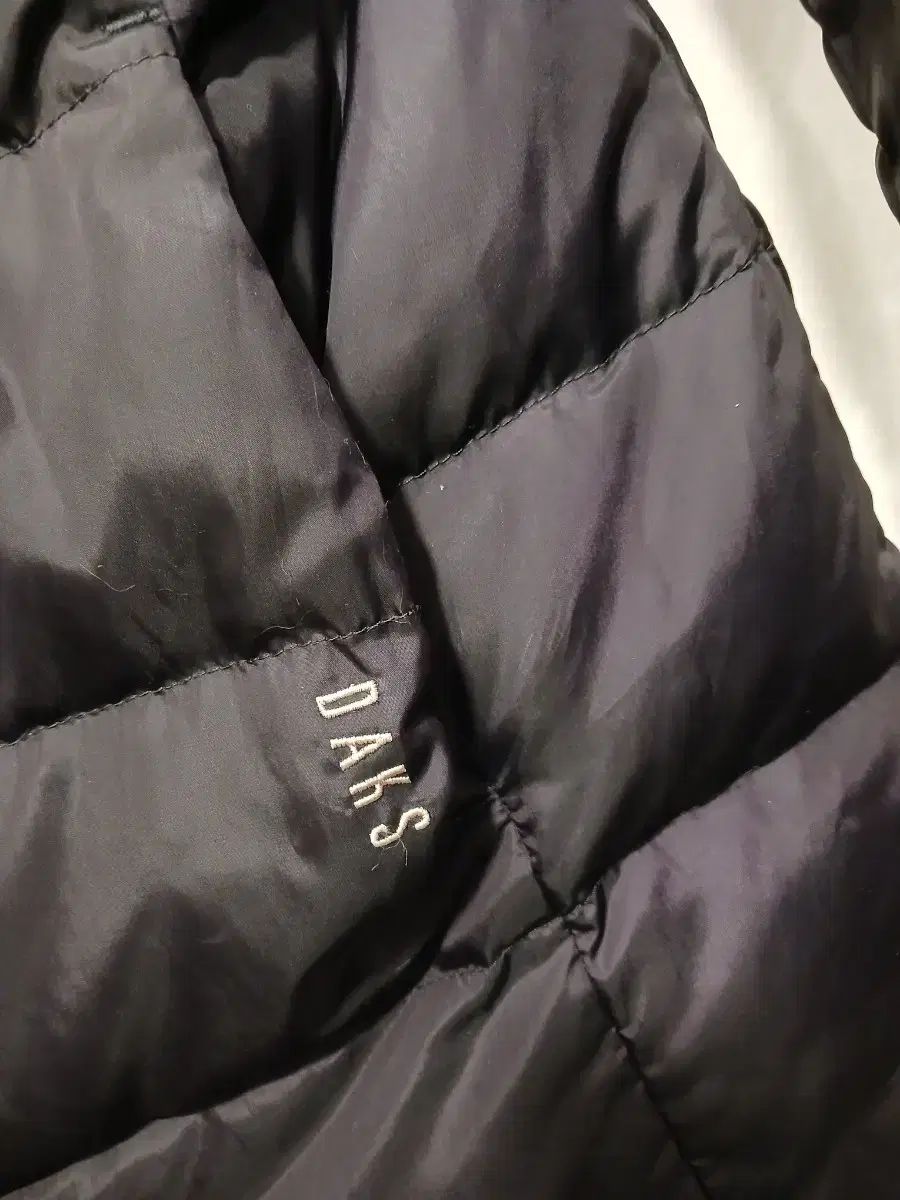 ダックス キッズ