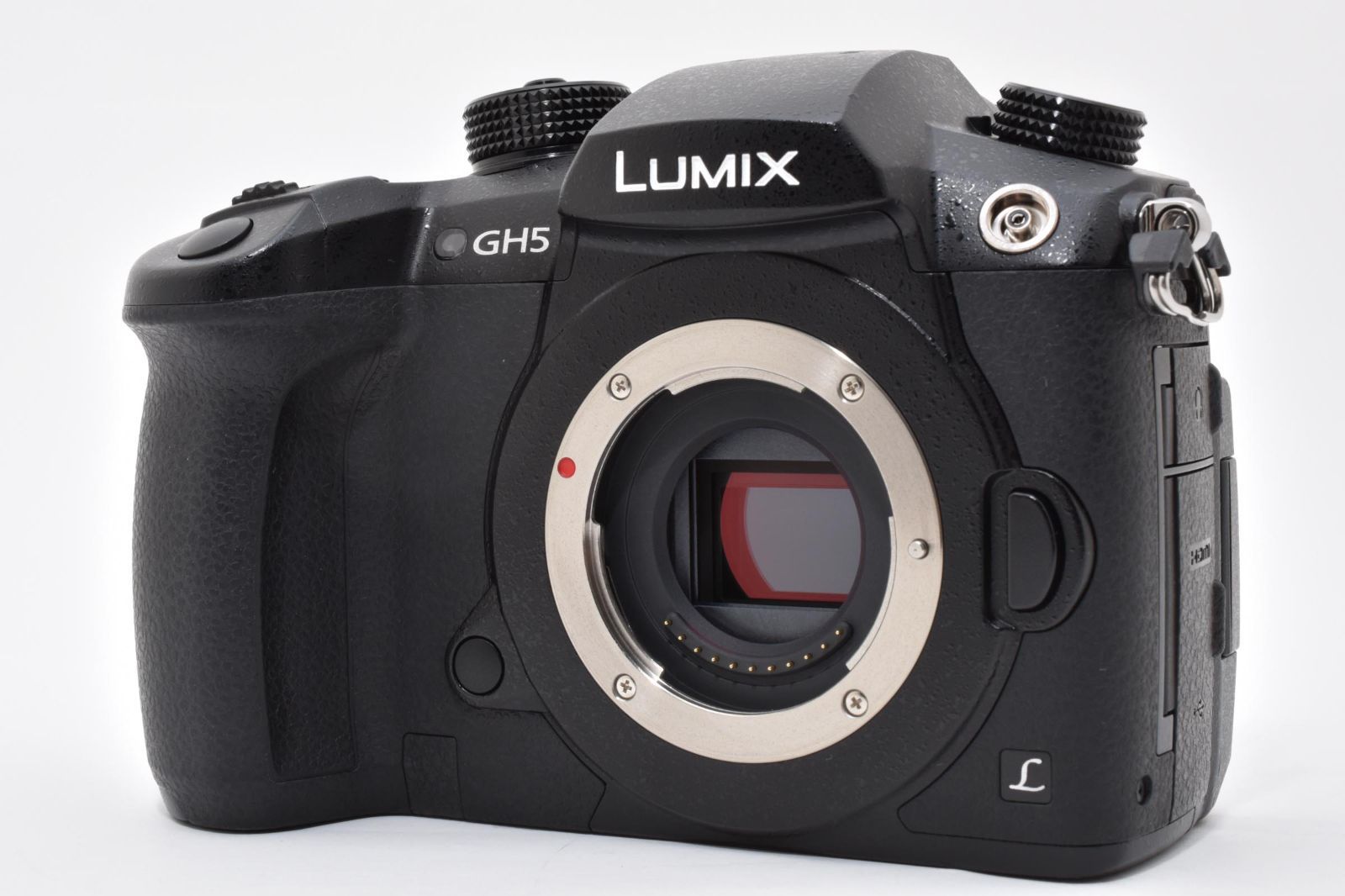 上 パナソニック Panasonic LUMIX DC GH 5 ボディ ショット数2884回 バッテリー＆充電器付き