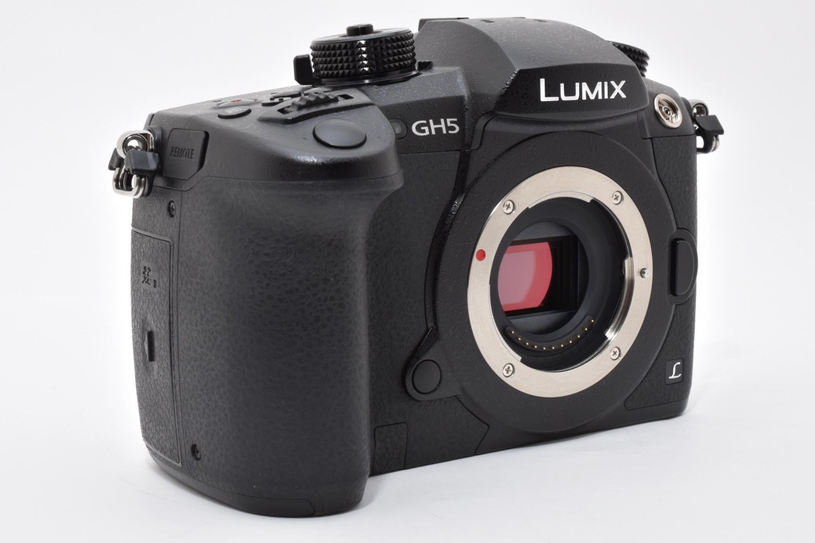  上 パナソニック Panasonic LUMIX DC GH 5 ボディ ショット数2884回 バッテリー＆充電器付き ミラーレス一眼 デジタルカメラ