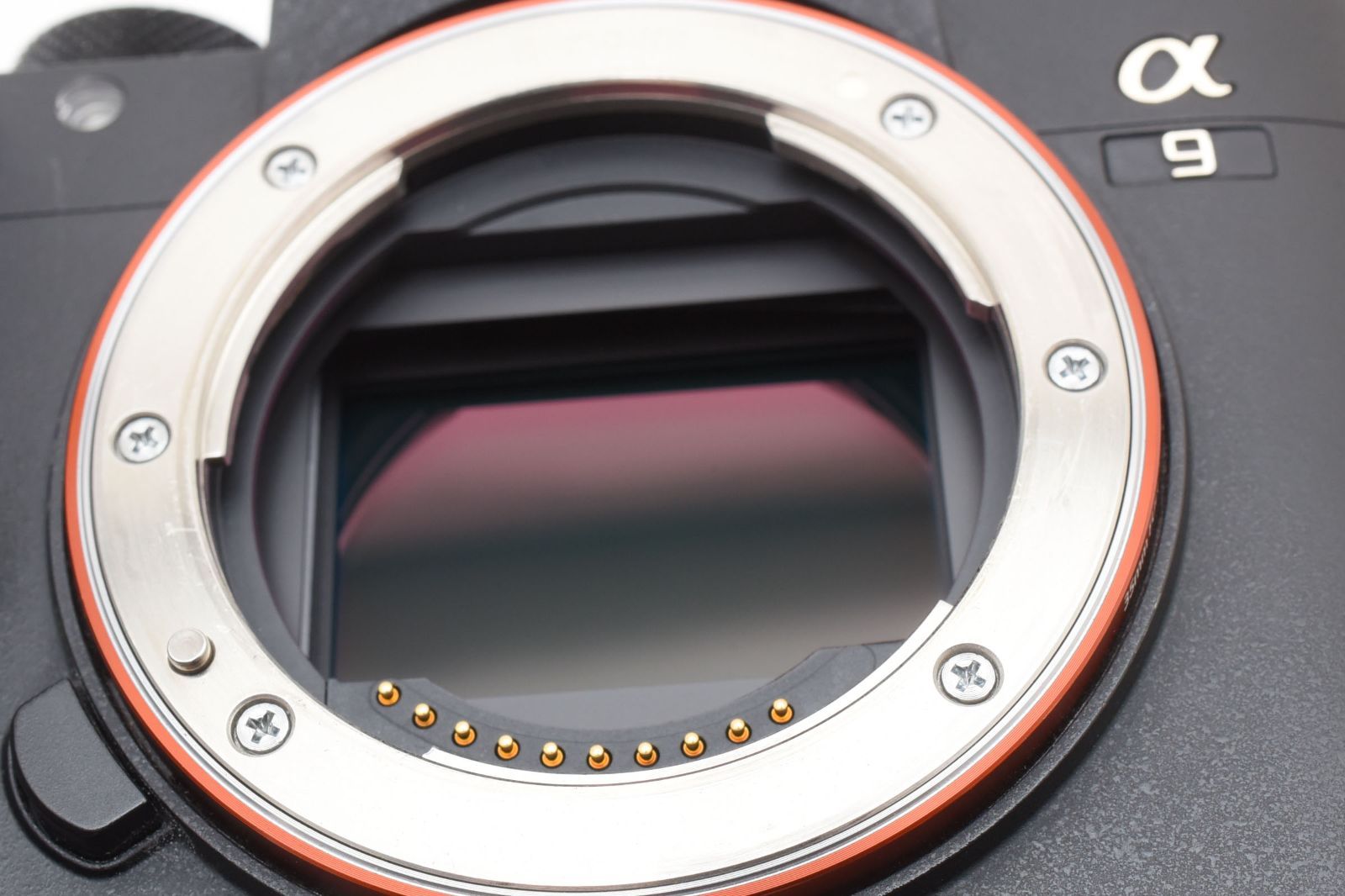  ソニー SONY α9 ボディ ILCE 9 ショット数56020回 ボディキャップ付き ミラーレス一眼 デジタルカメラ