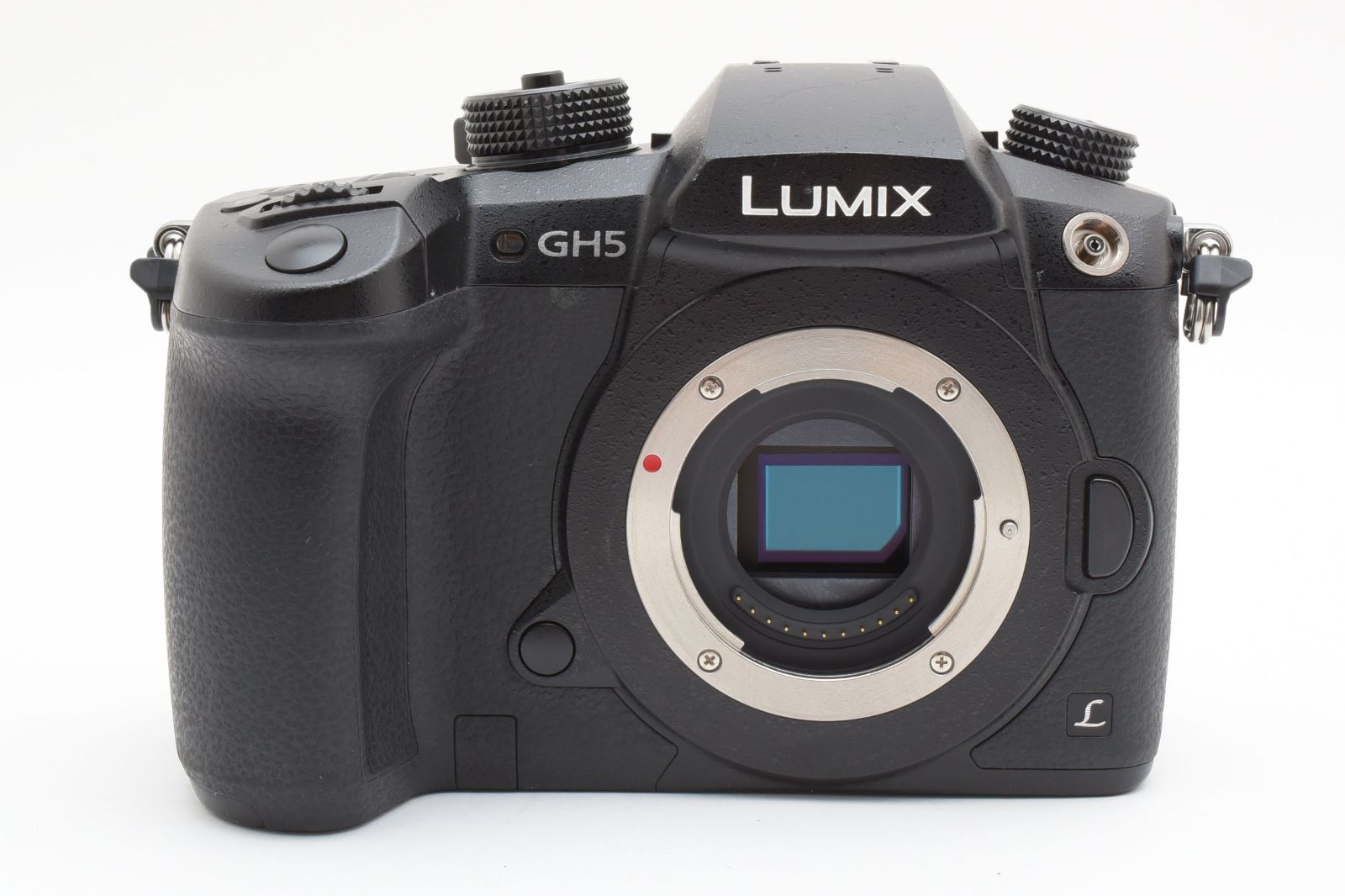 ☆極上☆ パナソニック Panasonic LUMIX DC-GH5 ボディ 《ショット数